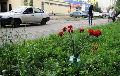 В Воронеже 7-летний мальчик погиб, выпав из окна вместе с москитной сеткой