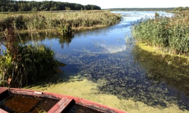 Пропавшего 3-летнего мальчика нашли мёртвым в реке