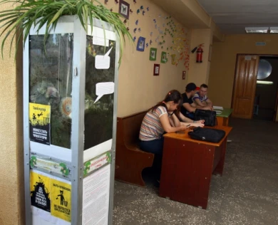 Выпускница ВГУ придумала экоурны, которые хочет поставить по всему городу