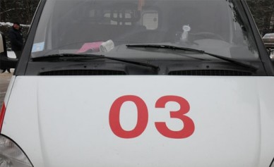 В Воронежской области легковушка врезалась в стоящий на обочине грузовик: 2 поги...