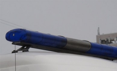 На Воронежской трассе «девятка» врезалась в дерево: водитель погиб