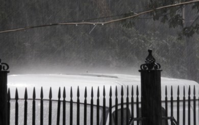 Под Воронежем парня убило током во время грозы