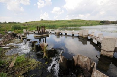 Обмелевшую реку Битюг оценили максимум в 15 тысяч рублей