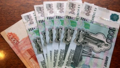 В Воронежской области предприятие задолжало своим сотрудникам зарплаты на 1 млн рублей
