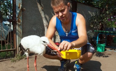 Воронежский волонтёр спасает слепого аиста