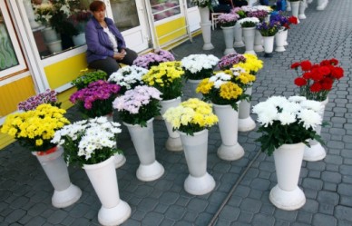 Как подорожают цветы из-за роста курса доллара и евро?