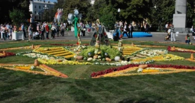 Посетители выставки «Воронеж-Город-Сад» увидят фестиваль сальсы и светомузыкальный фонтан