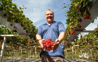 Под Воронежем бывший милиционер организовал на даче клубничный рай