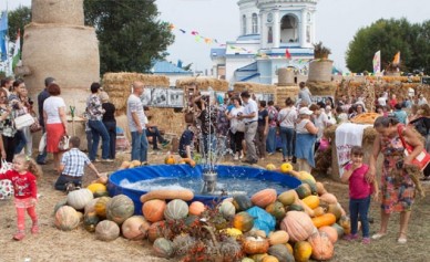 «Воронеж — город-сад» — деревня из соломы, герб из картофеля и улыбка Чеширского...