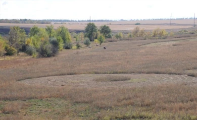 Под Воронежем выкошенную траву приняли за следы НЛО