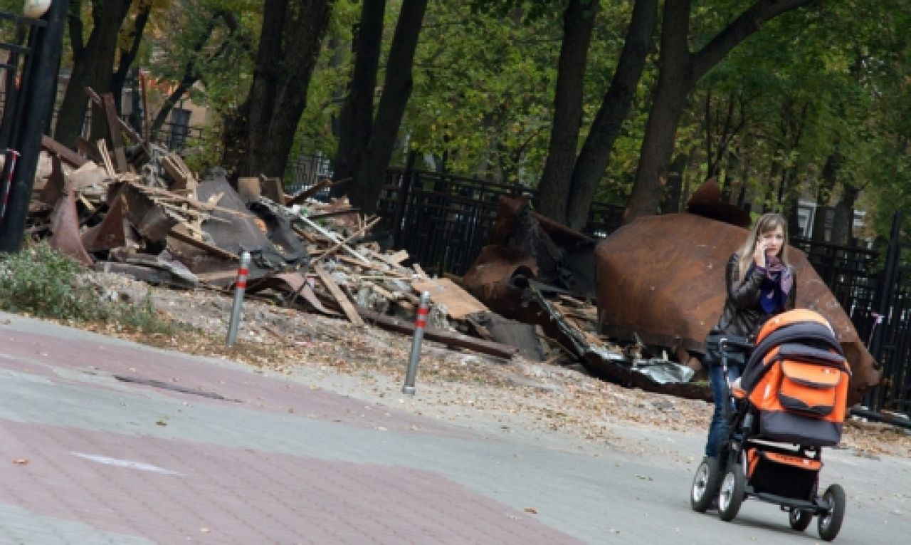 Воронежцы пожаловались на крыс в парке «Орлёнок»