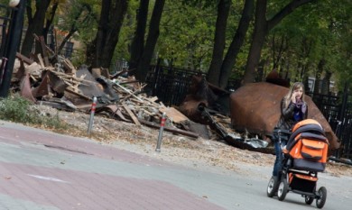 Воронежцы пожаловались на крыс в парке «Орлёнок»
