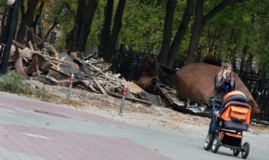 Воронежцы пожаловались на крыс в парке «Орлёнок»