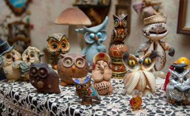 У воронежцев дома «живёт» 377 сов