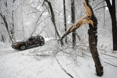 В Воронеже оценили последствия сильного снегопада