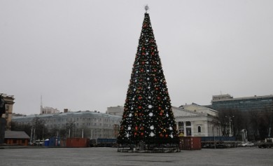 Главную городскую ёлку украсят картины из музея Крамского