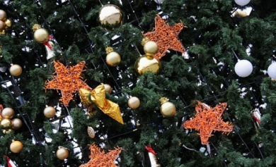 Готовы ли воронежцы к Новому году?