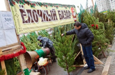 В Воронеже продавцы ёлок делают скидки покупателям с детьми