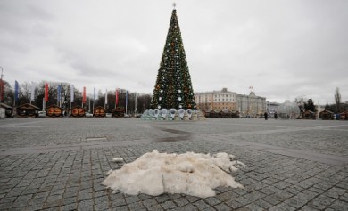 Опрос: что думают воронежцы о теплой зиме?