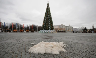 Опрос: что думают воронежцы о теплой зиме?