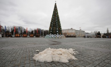 Синоптики рассказали, какая погода будет в Воронеже на Новый год