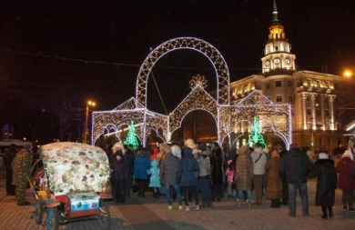 В Воронеже на открытие ёлки не пускали людей с алкоголем
