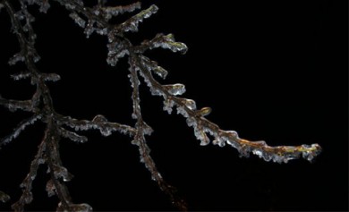 Спасатели объявили в Воронежской области штормовое предупреждение из-за мороза