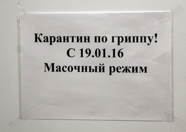 В Воронеже из-за вспышки гриппа закрывают на карантин целые школы