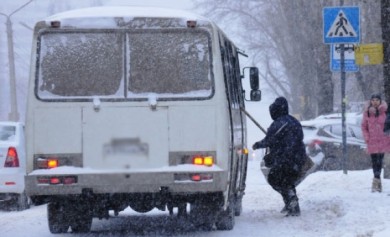 В Воронеже будут судить водителя маршрутки, сбившего насмерть на зебре пешехода