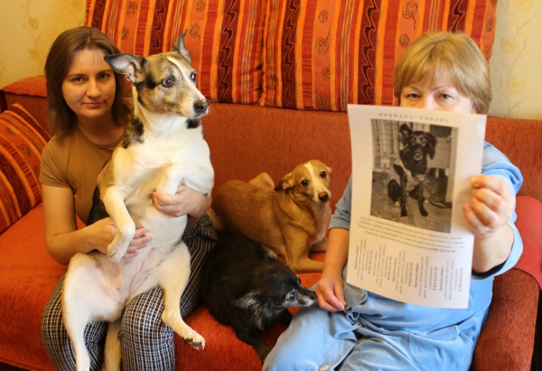 В воронежском ветцентре подменили собаку, которую отдали на операцию