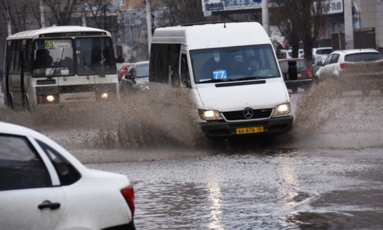 Воронежцев в начале весны ждёт потепление до 10 градусов выше нуля