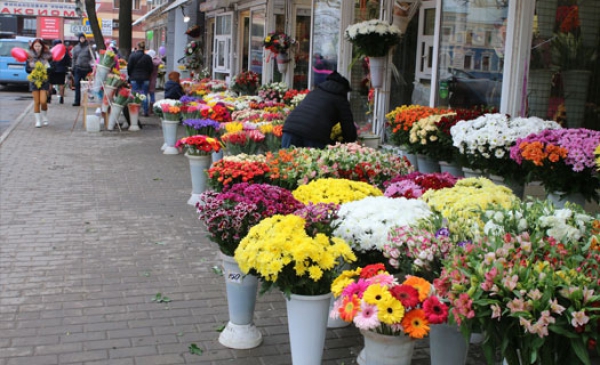 Накануне 8 Марта цветы в Воронеже подорожали на 20 - 30 рублей