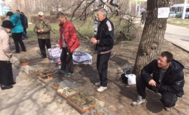 В Воронеже у храмов продают израненных «краснокнижных» птиц