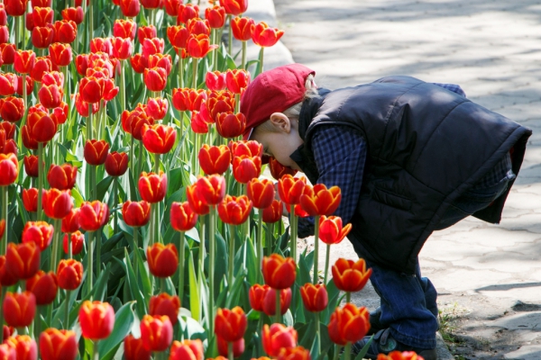 Жаркая солнечная погода сохранится в Воронеже до выходных