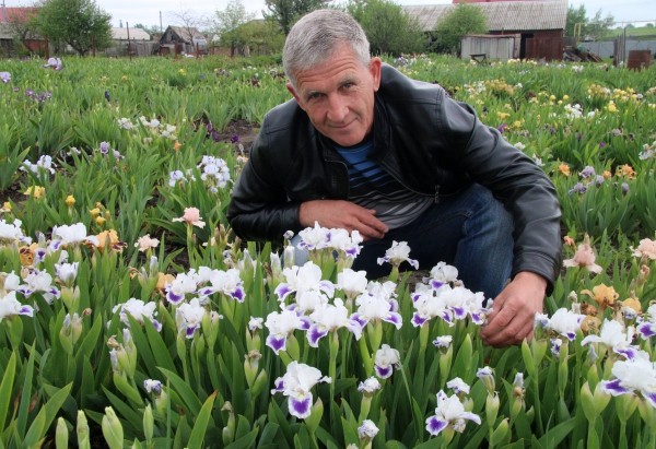 Сельский учитель из Воронежской области на своём огороде выращивает около двух тысяч сортов ирисов