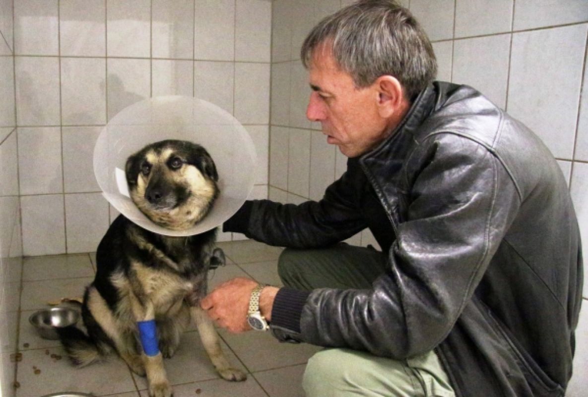 Роджи и его хозяин в ветклинике