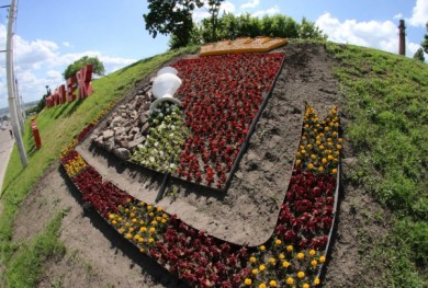 В Воронеже посадка цветов на городских клумбах завершится к середине июня