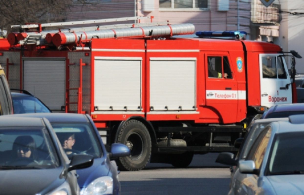 Жительницу Воронежской области убили в собственной квартире и пытались сжечь
