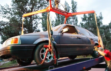 Машины задержавшихся в парке «Динамо» посетителей увезут на штрафстоянку