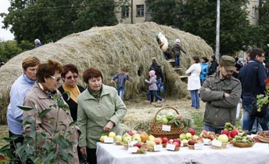 Выставка «Воронеж-сад» впервые пройдёт в Центральном парке