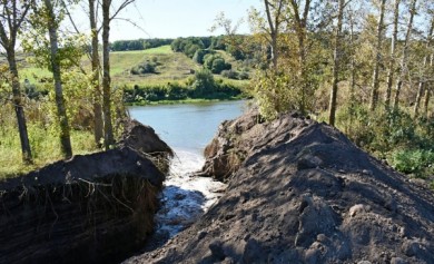 В Воронеже строители за ночь осушили озеро и устроили экологическую катастрофу