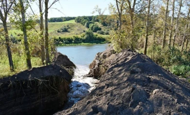 В Воронеже строители за ночь осушили озеро и устроили экологическую катастрофу