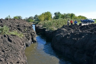 Фирма-владелец участка с озером Круглое открестилась от спуска водоёма