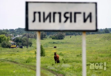 Виновника крупной аварии на аммиакопроводе в Воронежской области освободили от ответственности