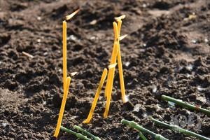 Люди принесли цветы и свечи к месту гибели Екатерины