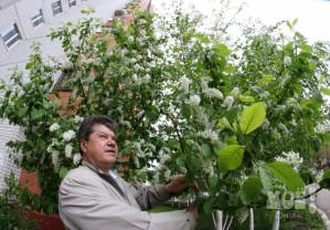 Вячеслав Чумертов и его сад во дворе