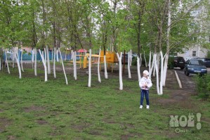 Деревья посажены так плотно, чтобы защитить их парковки