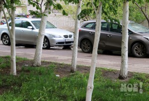 Автомобили не могут занять клумбы, потому что на них плотно посажены деревья
