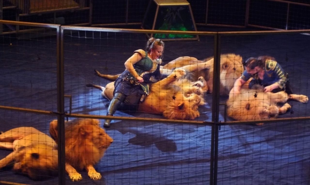 Известный дрессировщик в Воронеже рассказал, как научился класть голову в пасть шести львам и выжил