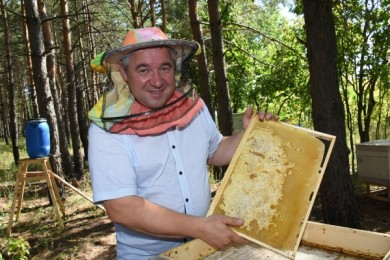 Воронежец осуществил мечту детства и построил пасеку за 15 миллионов
